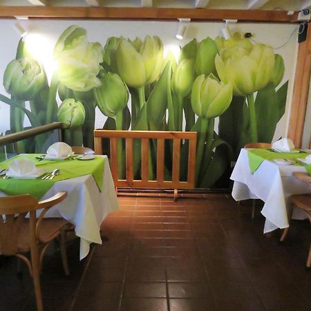 Hotel Alonso De Ercilla Concepción Zewnętrze zdjęcie
